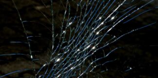 Sujetos dan cristalazo y roban Starbucks en Huexotitla sujetos