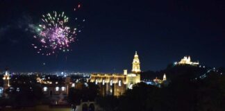 Vaniloquio supera 15 millones de pesos en derrama económica vaniloquio