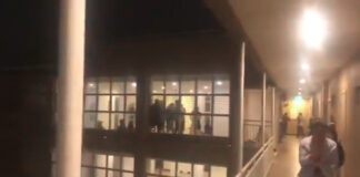 Retiran alerta de tsunami en Tonga tras sismo de 7.3 alerta-de-tsunami