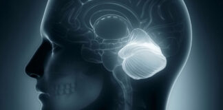 Lesión cerebral a Don Gerónimo en baños de vapor es irreversible: familia baños