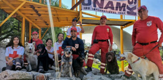 Binomios de la Cruz Roja obtienen Certificación Internacional IRO binomios