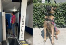 Aseguran aparente droga en Centro Penitenciario Puebla droga