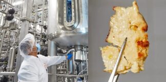 Empresa de EU recibe luz verde para producir carne de laboratorio empresa