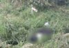Hallan sin vida a hombre secuestrado en Acatzingo Hombre