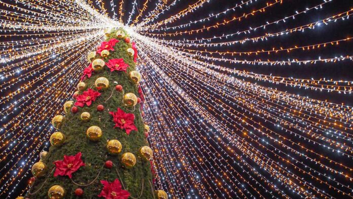 navidad