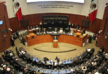 Senado rechaza a Ricardo Salgado Perilliat como nuevo comisionado del INAI papel