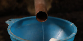 Gobierno presenta plan para duplicar producción de mezcal en Puebla plan