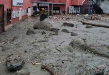 Al menos 8 muertos por deslizamiento de tierra en Italia tierra