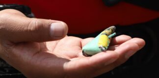 Adolescente muere tras explosión de cohete en Acajete Adolescente