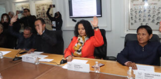 Diputados avalan regulación de centros de salud mental y de adicciones Diputados