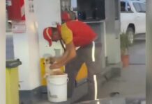 ¡Awww! Empleado de gasolinera baña a perritos callejeros Empleado