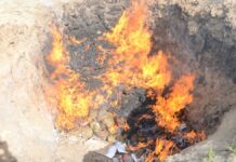 FGR incinera 310 kilos de marihuana en Tlaxcala FGR