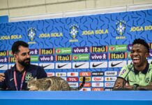 Gatito interrumpe rueda de prensa de Vinicius Jr. Gatito