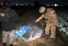 Guardia Nacional ubica 4 tomas clandestinas en Puebla Guardia