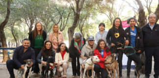 Puebla capital va por la esterilización de tres mil 400 perros y gatos Puebla