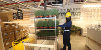 Puebla suma en noviembre 632 mil 568 empleos registrados ante IMSS Puebla