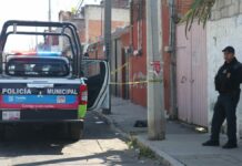 Hallan cráneo humano en colonia La Loma