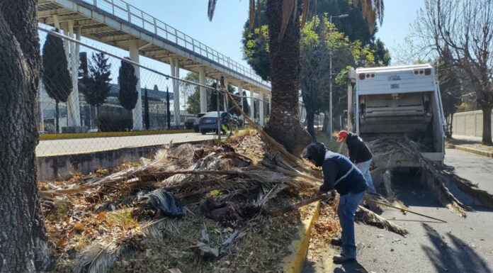 Puebla avanza en mantenimiento de calles, parques y áreas verdes