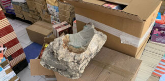 Vándalos dan cristalazo a librería del Centro Histórico cristalazo