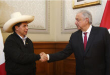 Respetar derechos de Pedro Castillo, piden México y otros 3 países derechos