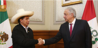 Respetar derechos de Pedro Castillo, piden México y otros 3 países derechos