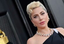 Dan 21 años de cárcel a ladrón de los perros de Lady Gaga Perros