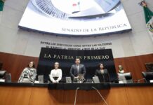 Senado aprueba ‘Plan B’ de Reforma Electoral PLAN B