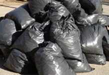 Proponen empresas PALA y RESA para recolectar residuos de Puebla capital Residuos