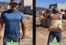 Albañil carga bulto de cemento ¡con los dientes! Albañil