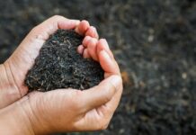 Nueva York aprueba ley para realizar composta de restos humanos