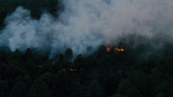 incendios