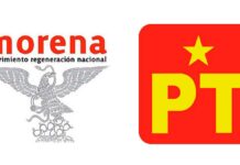 Morena podría ceder candidatura a edil al PT: Olga Lucía Romero Morena