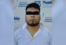 SSC arresta a principal operador de “Los Ogasawara” Ogasawara