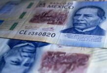 Puebla, sexto estado con mayor crecimiento del PIB: INEGI Peso