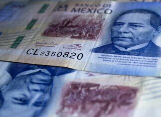 Puebla, sexto estado con mayor crecimiento del PIB: INEGI Peso