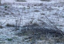 Tlahuapan inició semana con la temperatura más baja de Puebla: SEGOB Puebla
