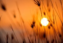 Temperatura global subió 1.15 grados en 2022 Temperatura