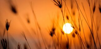 Temperatura global subió 1.15 grados en 2022 Temperatura