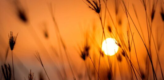 Temperatura