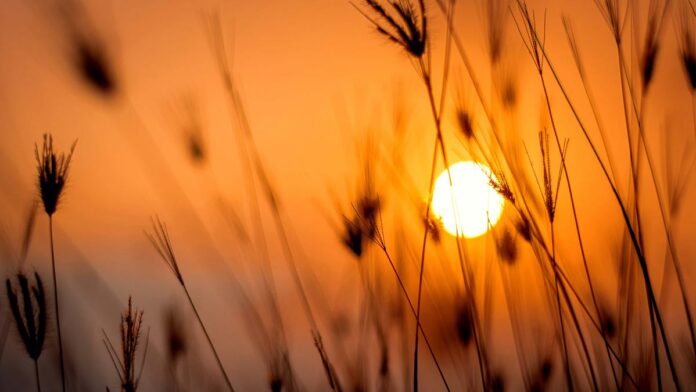 Temperatura