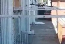 Muere hombre tras caerse ebrio y golpearse la cabeza en El Campanario