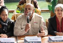 Ayuntamiento de Puebla reciclará hasta 5 mil árboles navideños