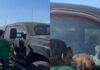 Mujer usa los celos para rescatar a su perra atrapada dentro del auto