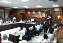 Llueven mapaches dentro del Ayuntamiento de Acapulco y se hace viral