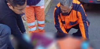 Naranjita es hospitalizada tras ser atropellada por ebrio Hospitalizada