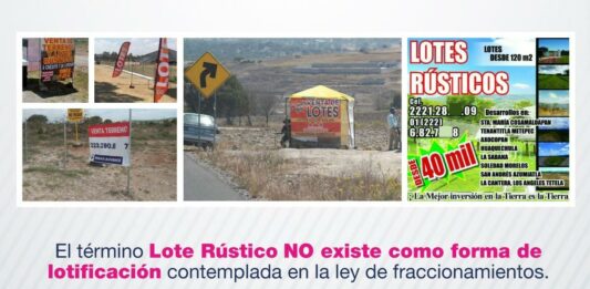 Lotes