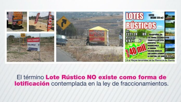 Lotes