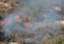 Bomberos sofocan al menos cinco incendios de pastizal en Puebla Bomberos
