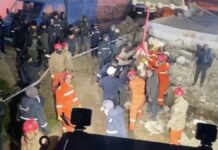 ¡Otro milagro! rescatan a vaca tras 11 días bajos los escombros en Turquía