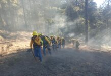 Sergio Salomón supervisa trabajos de mitigación de incendio en Atzitzintla